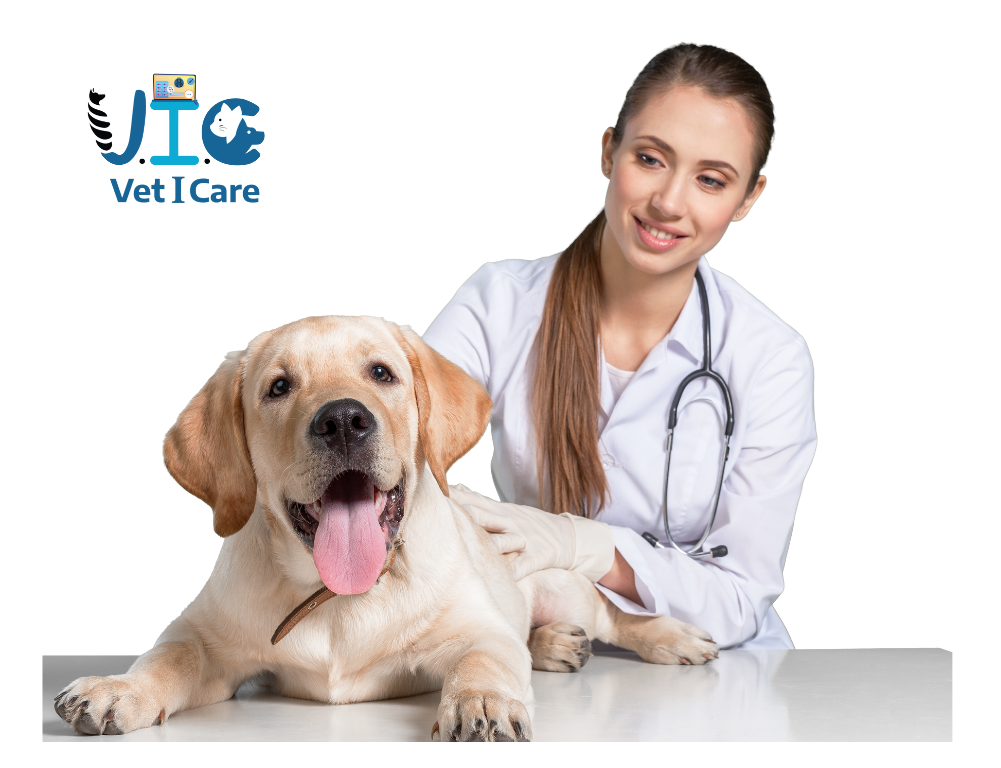 Medical Records
