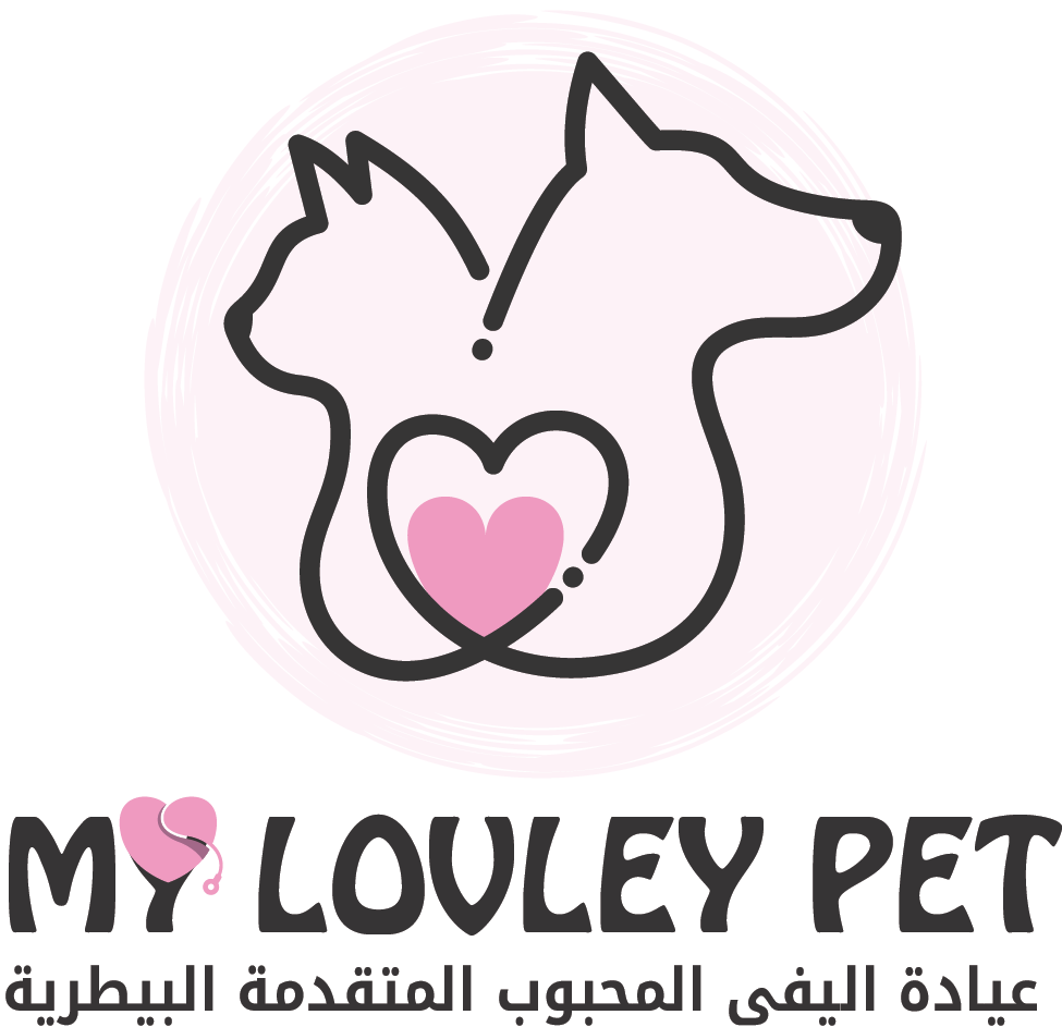 My Lovely Pet Veterinary Clinic